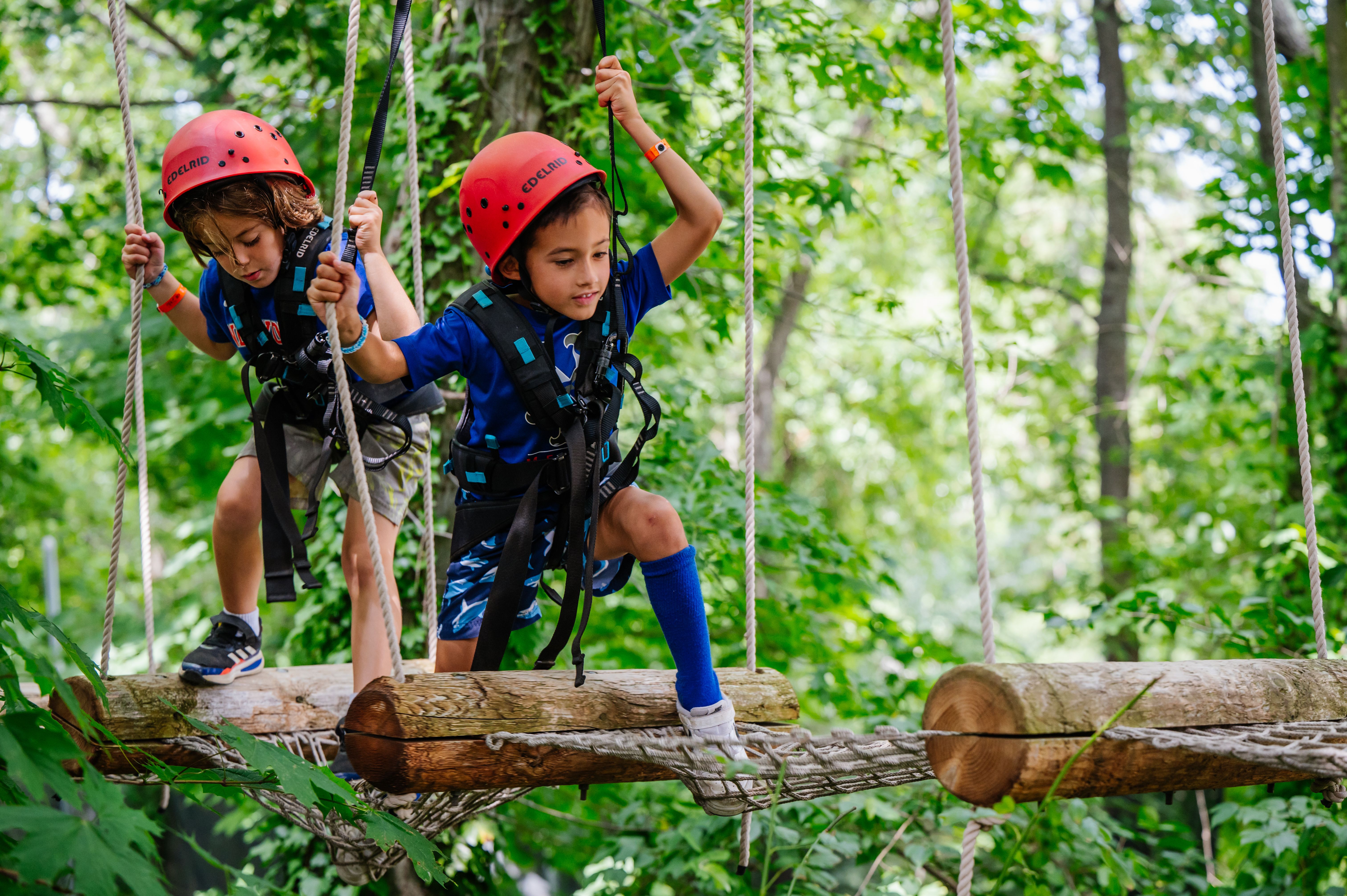 treetop trails